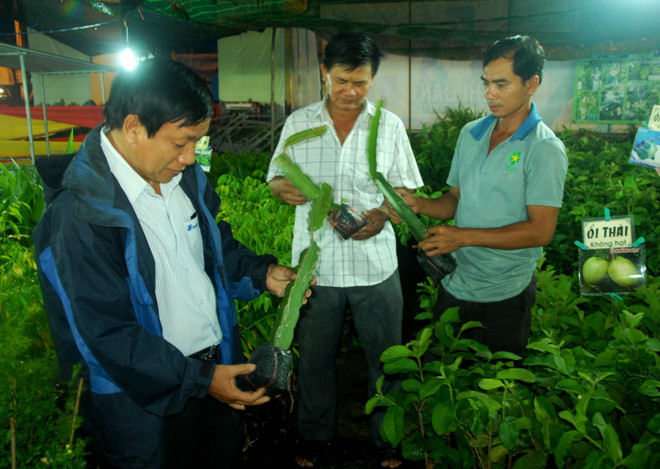 400 đơn vị tham gia Festival Nông nghiệp-Làng nghề miền Trung ảnh 1
