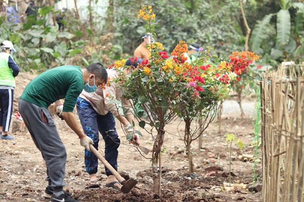 Tạo luồng sinh khí mới với không gian công cộng cho bờ vở sông Hồng ảnh 2