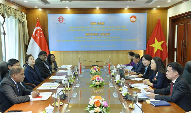 Việt Nam tham khảo kinh nghiệm vận động nhân dân của Singapore ảnh 1