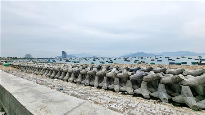 Thành lập Ban Chỉ đạo Tổng kết 10 năm thực hiện Nghị quyết 24-NQ/TW ảnh 1