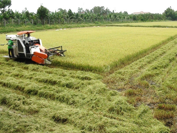 Bài 3: Nông nghiệp Việt Nam:“Thị trường nội địa vẫn đang là vô tận” ảnh 2