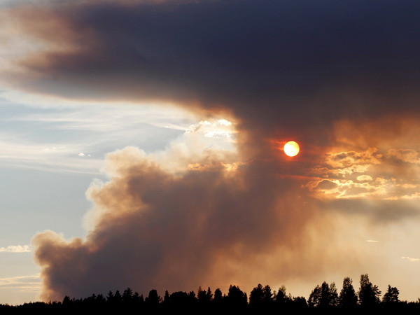 Đan Mạch cử nhóm cứu hỏa hỗ trợ Thụy Điển đối phó với cháy rừng ảnh 1