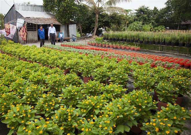 Thủ tướng chỉ thị các biện pháp bảo đảm đón Tết vui tươi, an toàn ảnh 1