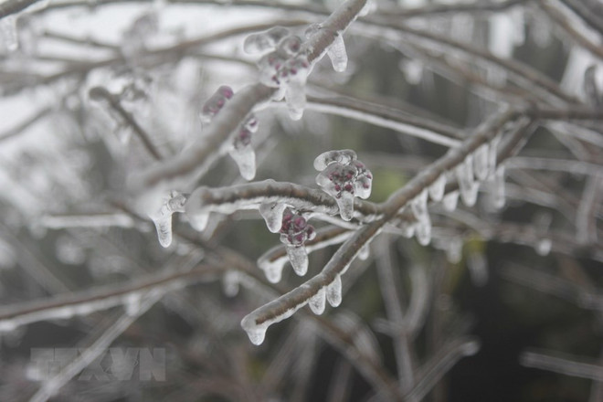 Bắc Bộ, Trung Bộ trời rét đậm, vùng núi cao có nơi dưới 3 độ C ảnh 1