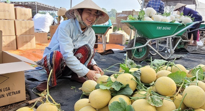 Bà Rịa-Vũng Tàu: Trái cây hút hàng, giá tăng dịp Tết Nguyên đán ảnh 2
