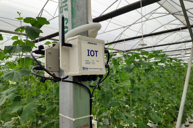 VNPT đạt tăng trưởng lợi nhuận trên 20% trong 5 năm liên tiếp ảnh 3