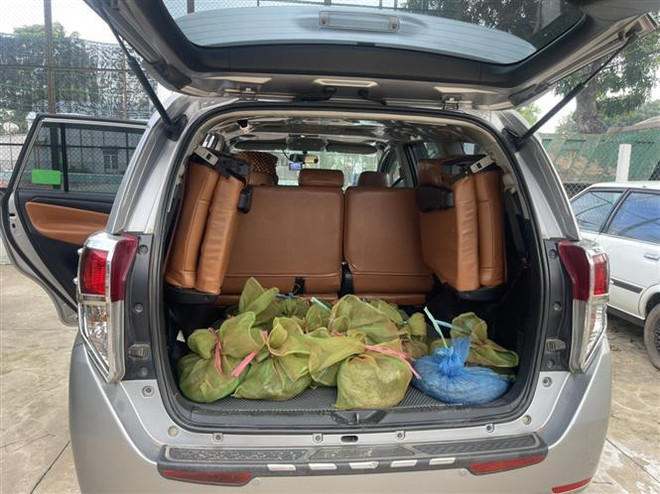 Tây Ninh: Phát hiện đối tượng vận chuyển trái phép 30 cá thể cầy hương ảnh 1