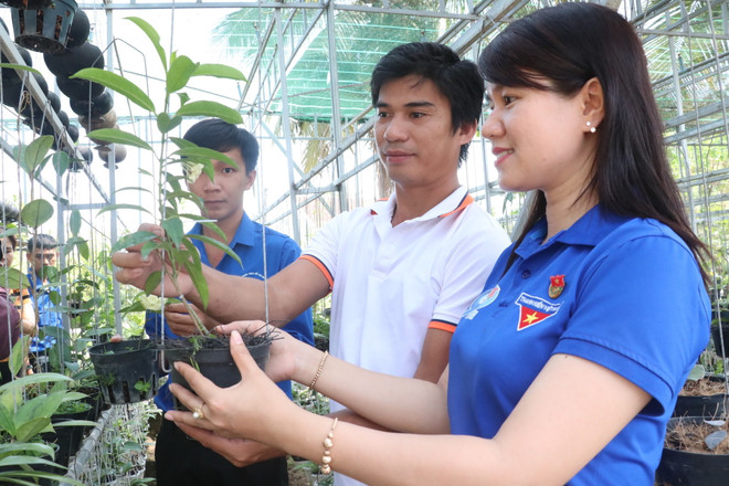 Khởi nghiệp thành công tại quê hương với loài hoa cẩm cù ảnh 2