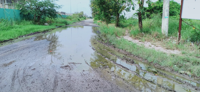 Bình Thuận: Nhiều tuyến đường giao thông bị hư hỏng nặng ảnh 1
