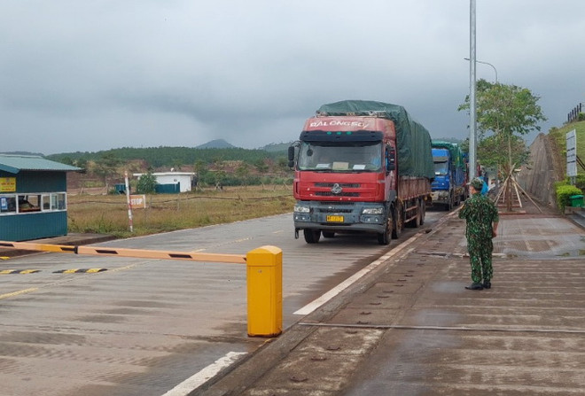 Quảng Ninh: Phạt đối tượng ẩu đả ở Cảng cạn ICD Thành Đạt ảnh 1