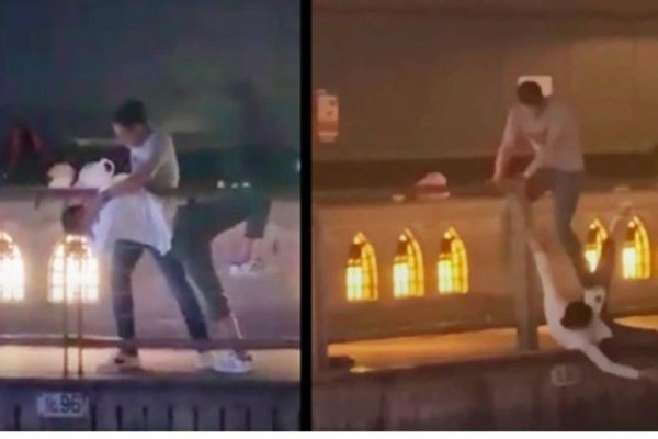 Cảnh sát Nhật Bản đã bắt được nghi phạm sát hại người Việt ở Osaka ảnh 1