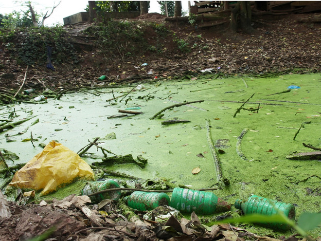 Vỏ bao bì thuốc bảo vệ thực vật đang "tàn phá" môi trường nông thôn ảnh 1
