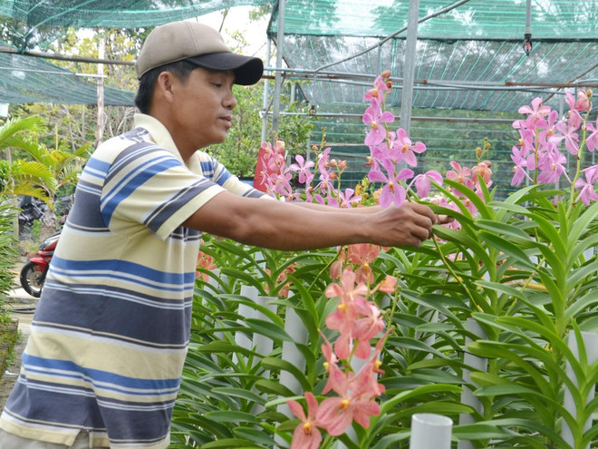 IFC thúc đẩy cung cấp tài chính cho khu vực nông nghiệp Việt Nam ảnh 1