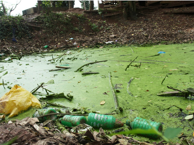 Hà Nội: Khoảng 10% nước thải đổ ra sông chưa qua công đoạn xử lý ảnh 1