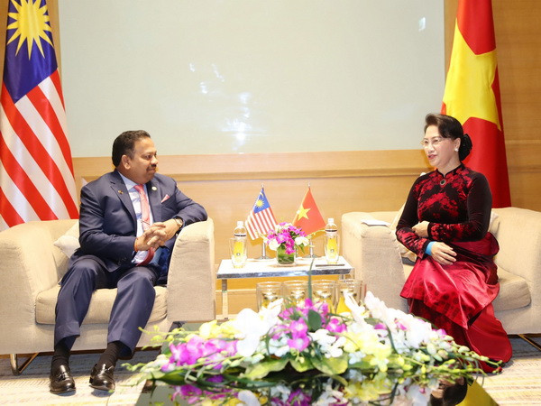 Việt Nam mong muốn tăng cường hợp tác thương mại với Malaysia ảnh 1