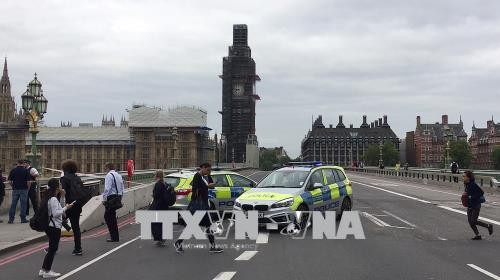 Nghi phạm trong vụ lao xe ở London là công dân Anh đến từ nước khác ảnh 1