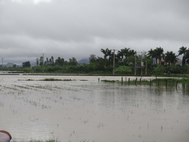 Nghệ An: Một người mất tích khi đi đánh cá ở đập tràn Thạch Tiền ảnh 1