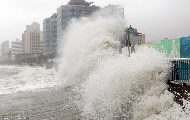 Nhưng đợt gió mạnh bất thường gây thiệt hại lớn tại Hàn Quốc ảnh 1