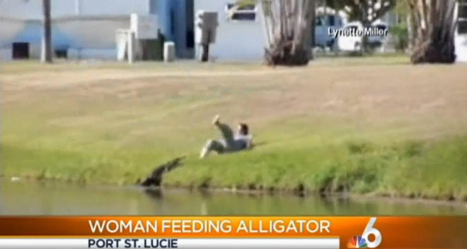 Người phụ nữ đùa giỡn với tử thần khi trêu cá sấu ảnh 1