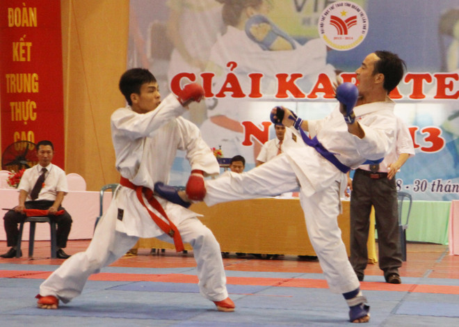 Giải vô địch Karatedo Đông Nam Á quy tụ 150 VĐV ảnh 1