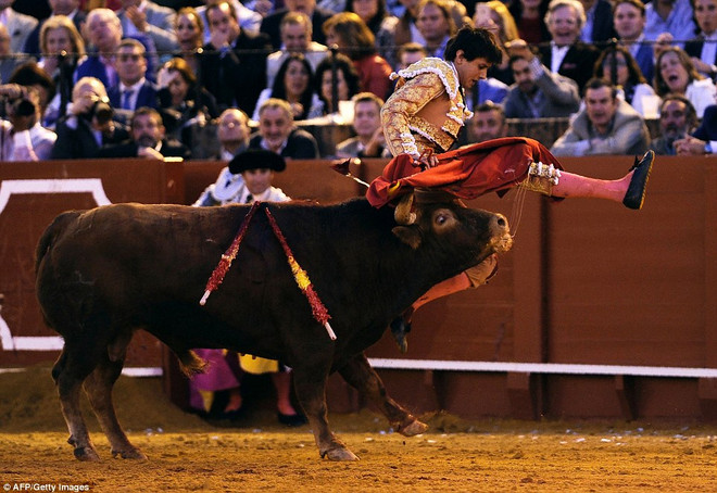 Đấu sỹ suýt mất mạng vì bị bò tót hung dữ húc thẳng vào "bàn tọa" ảnh 1