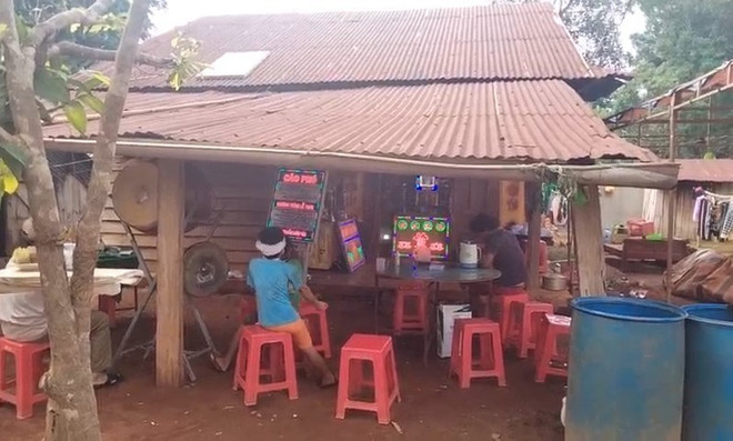 Anh Điểu KRốt ở Bình Phước tử vong do bị chó dại cắn nhưng không điều trị, tiêm ngừa. (Ảnh: TTXVN phát TTXVN_1906benhdai1.jpg