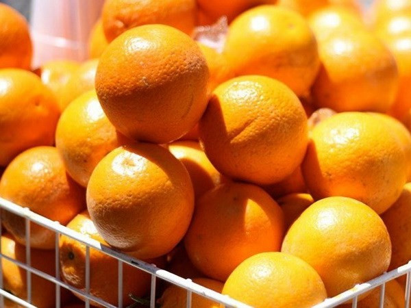 Ăn lê, cam và táo giúp giảm nguy cơ bị các bệnh về tim mạch ảnh 1