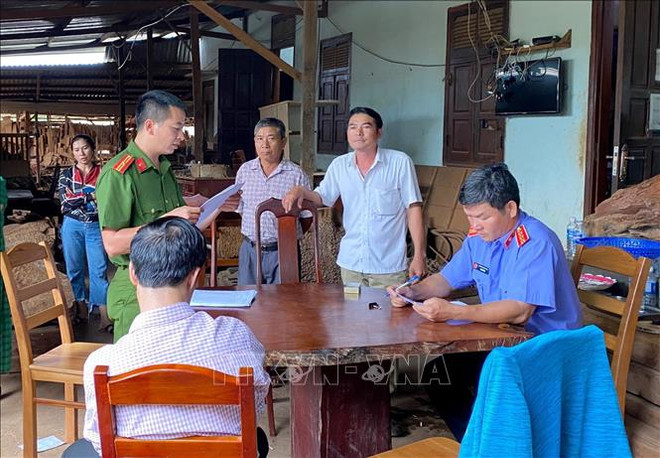 Gia Lai: Khởi tố chủ doanh nghiệp tư nhân Hùng Ny buôn gỗ lậu ảnh 1