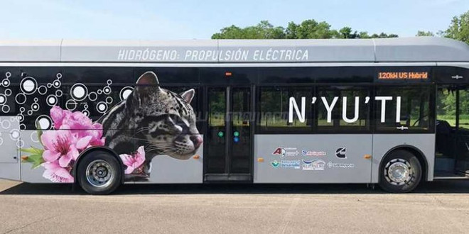 Costa Rica lưu hành xe buýt đầu tiên sử dụng nhiên liệu hydro ảnh 1