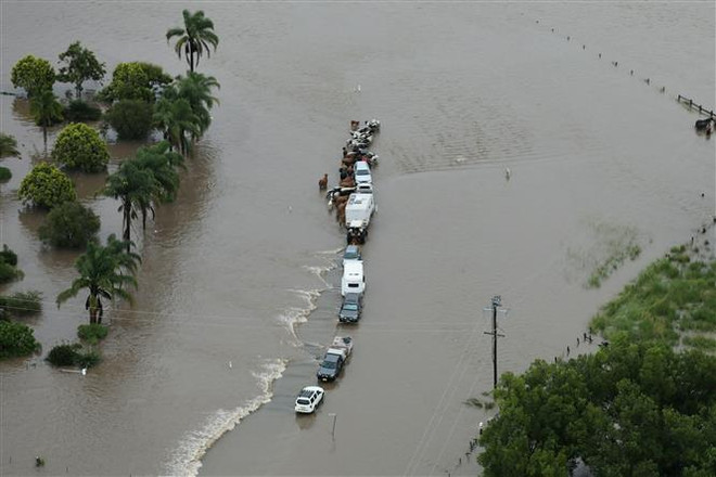 Australia: Mưa lũ dài ngày đe dọa nhiều vùng bang New South Wales ảnh 1
