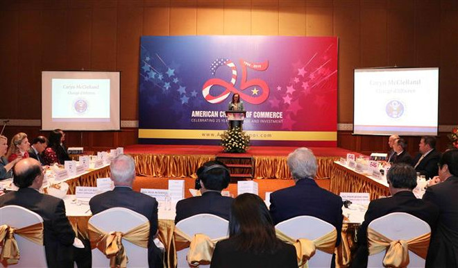 Kỷ niệm 25 năm thúc đẩy hợp tác kinh tế Việt Nam-Hoa Kỳ ảnh 1