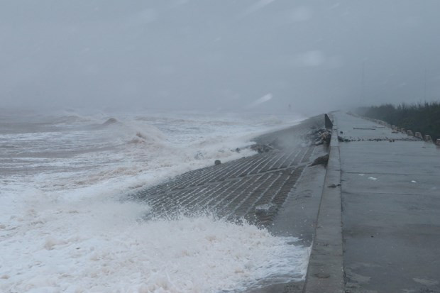 Thời tiết tháng 1: Bắc Bộ vẫn có thể đón rét đậm, Nam Bộ mưa trái mùa ảnh 1