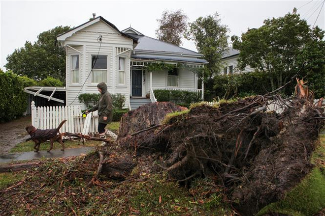 New Zealand cấp loại thị thực hỗ trợ khắc phục thảm họa thiên nhiên ảnh 1