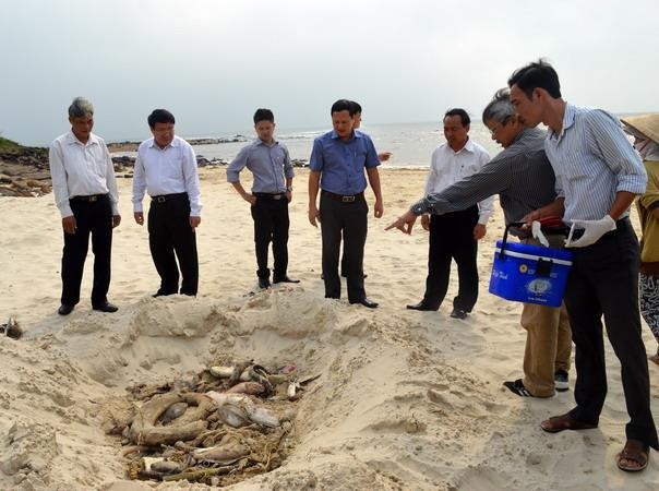 Cấm sử dụng, kinh doanh, tiêu thụ thủy hải sản chết bất thường ảnh 1