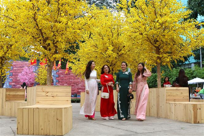 TP Hồ Chí Minh: Hàng nghìn người náo nức đổ về Lễ hội Tết Việt ảnh 1