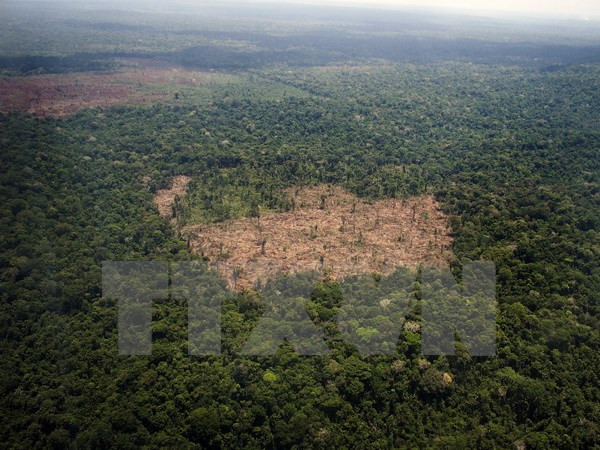 Sự kiện quốc tế 28/8-3/9: Triều Tiên thử bom H, Mỹ đón siêu bão ảnh 7