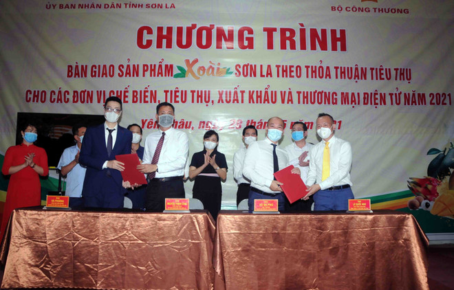 Sơn La xây dựng kế hoạch tiêu thụ nông sản theo từng kịch bản ảnh 1