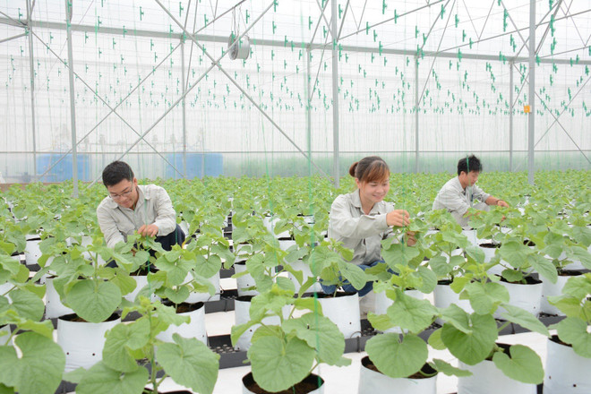 Kiến nghị xử lý 450 tỷ đồng trong Chương trình Xây dựng Nông thôn mới ảnh 1