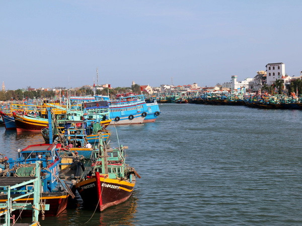 Áp dụng biện pháp mạnh đối với tàu cá đánh bắt bất hợp pháp ảnh 1