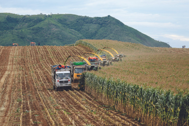 TH true MILK: “Kỳ tích” của công nghệ cao trên miền đất khắc nghiệt ảnh 6