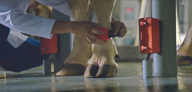 TH true MILK: “Kỳ tích” của công nghệ cao trên miền đất khắc nghiệt ảnh 4