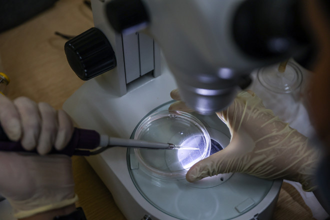 TH true MILK: “Kỳ tích” của công nghệ cao trên miền đất khắc nghiệt ảnh 9