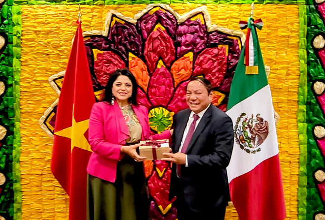 Văn hóa nghệ thuật là động lực thúc đẩy quan hệ Việt Nam-Mexico ảnh 1