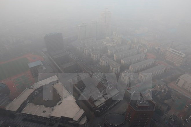 Sự kiện quốc tế từ 26/12/2016-1/1-2017: Xả súng đẫm máu tại Thổ Nhĩ Kỳ ảnh 7