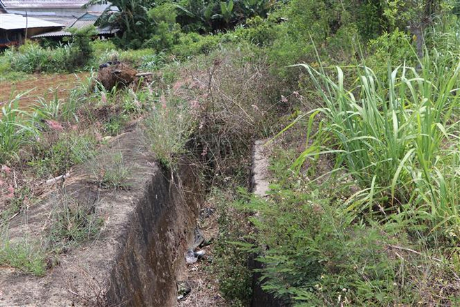 Quảng Ngãi: Báo động sự xuống cấp của nhiều di tích lịch sử, văn hóa ảnh 3