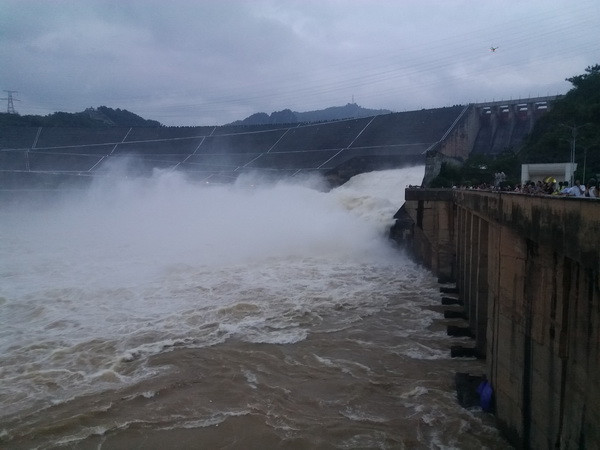 Phú Thọ: Cá chết hàng loạt sau khi Thủy điện Hòa Bình xả lũ ảnh 1