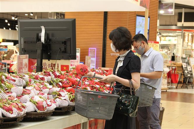 Hỗ trợ doanh nghiệp xuất khẩu nông sản, thực phẩm sang Nhật Bản ảnh 2