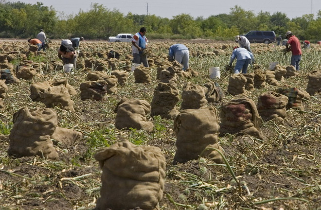 EU áp thuế bổ sung 3,3 tỷ USD đối với hàng nhập khẩu Mỹ từ tháng 7 ảnh 1