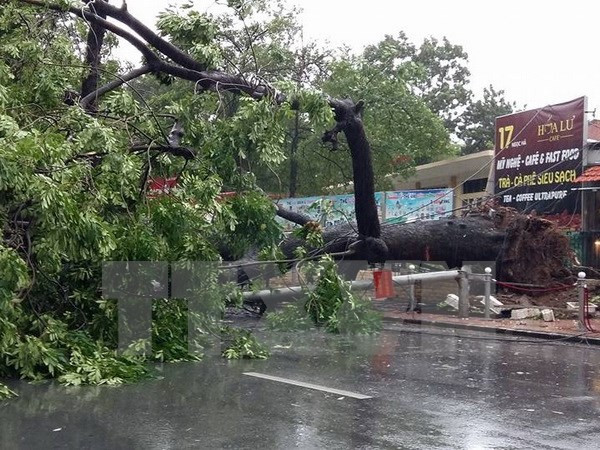 Sự kiện trong nước 25-31/7: Báo động mất an toàn hệ thống thông tin ảnh 3