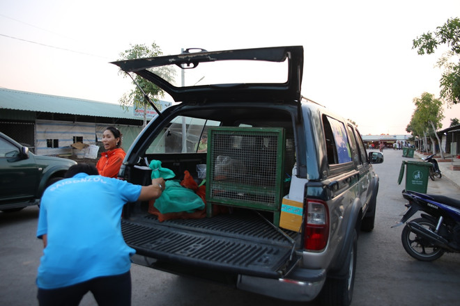 Chống dịch Covid-19: Cục Kiểm lâm truy quét chợ chim lớn nhất nước ảnh 8